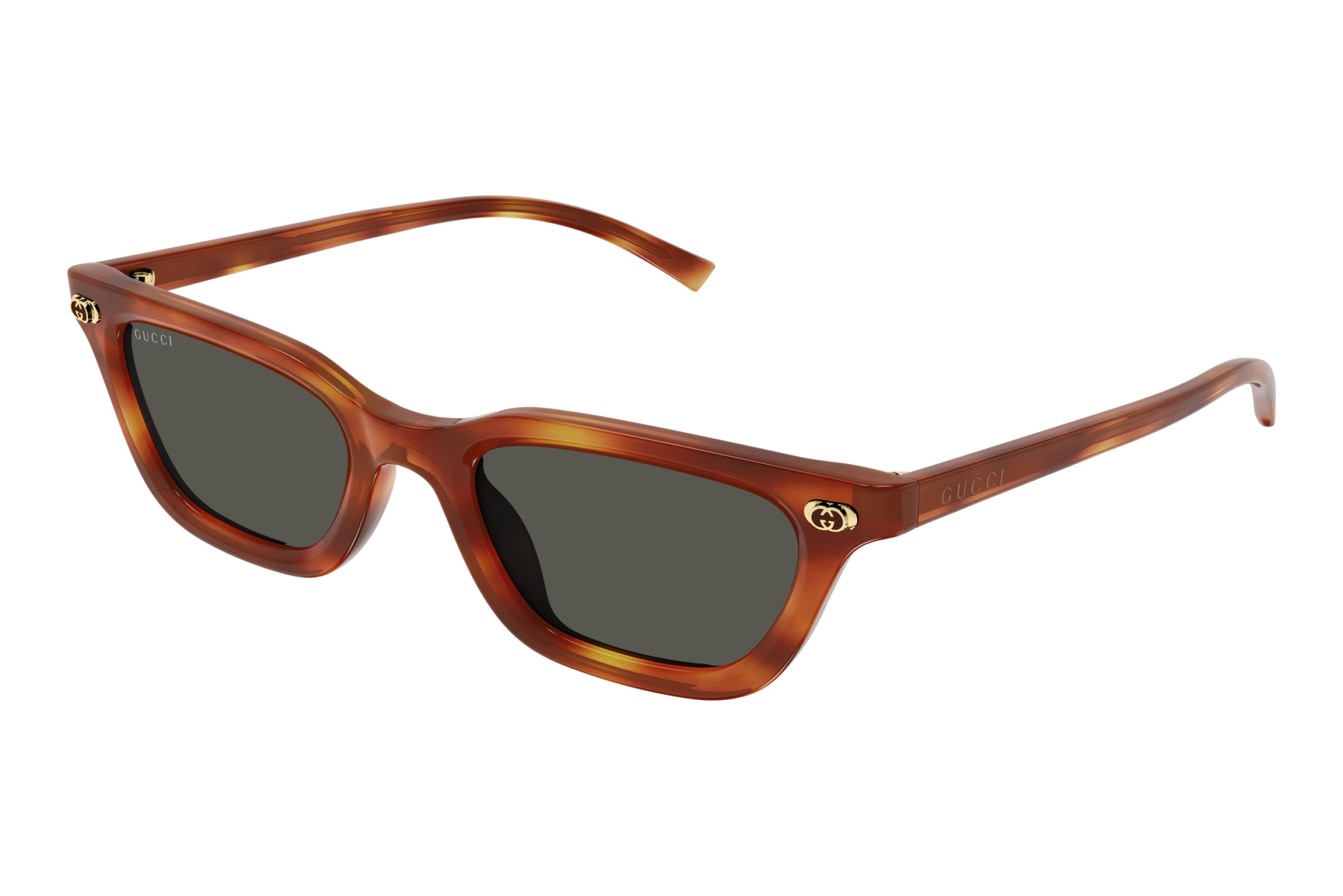 Gucci   GG1944S 002 HAVANA