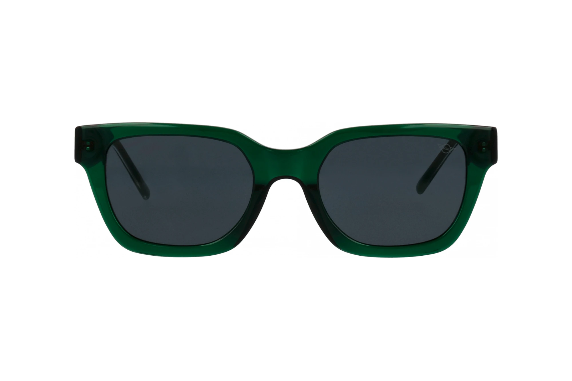 Vue de face MINI Eyewear MI 746017 (40)