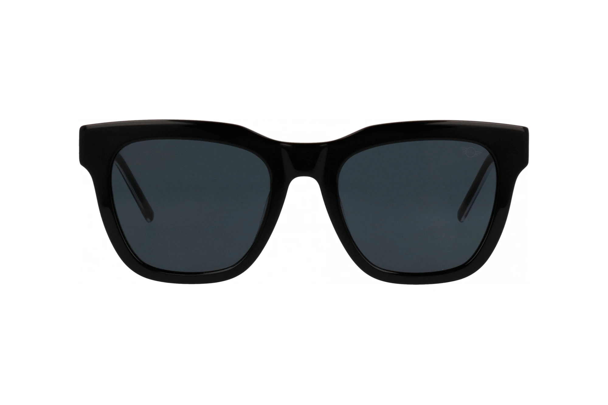 Vista frontale MINI Eyewear MI 746018 (10)
