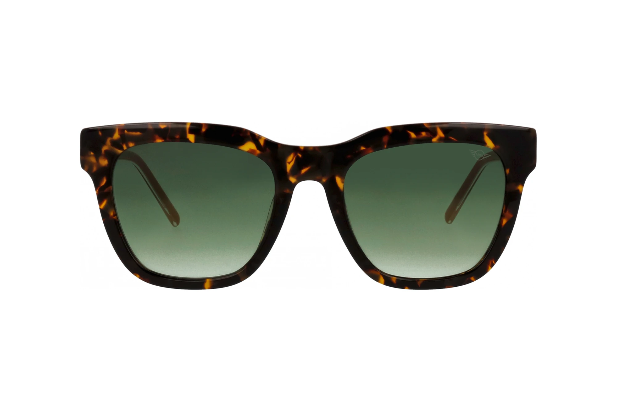 Vorderansicht MINI Eyewear MI 746018 (60)