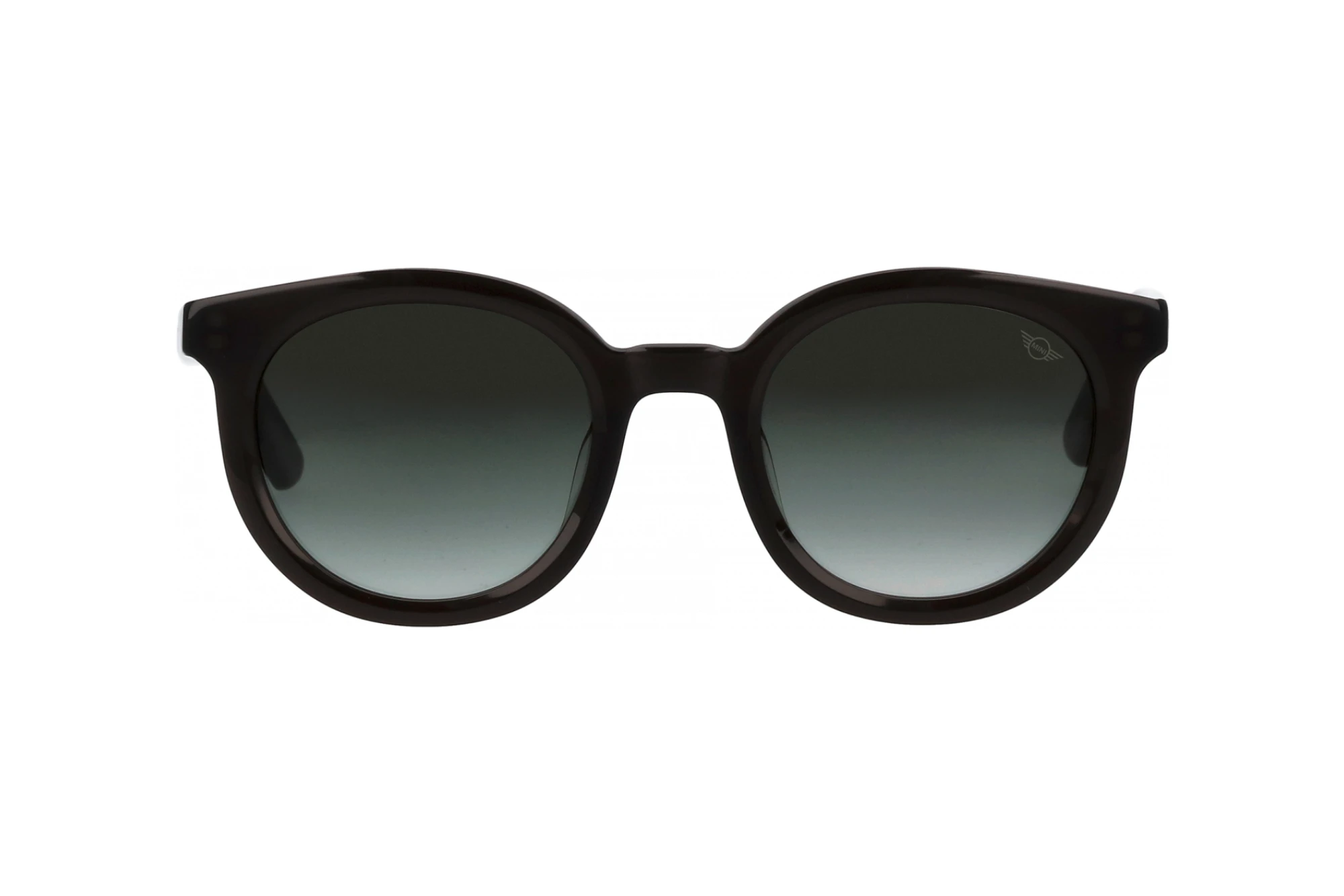 Vorderansicht MINI Eyewear MI 746020 (30)