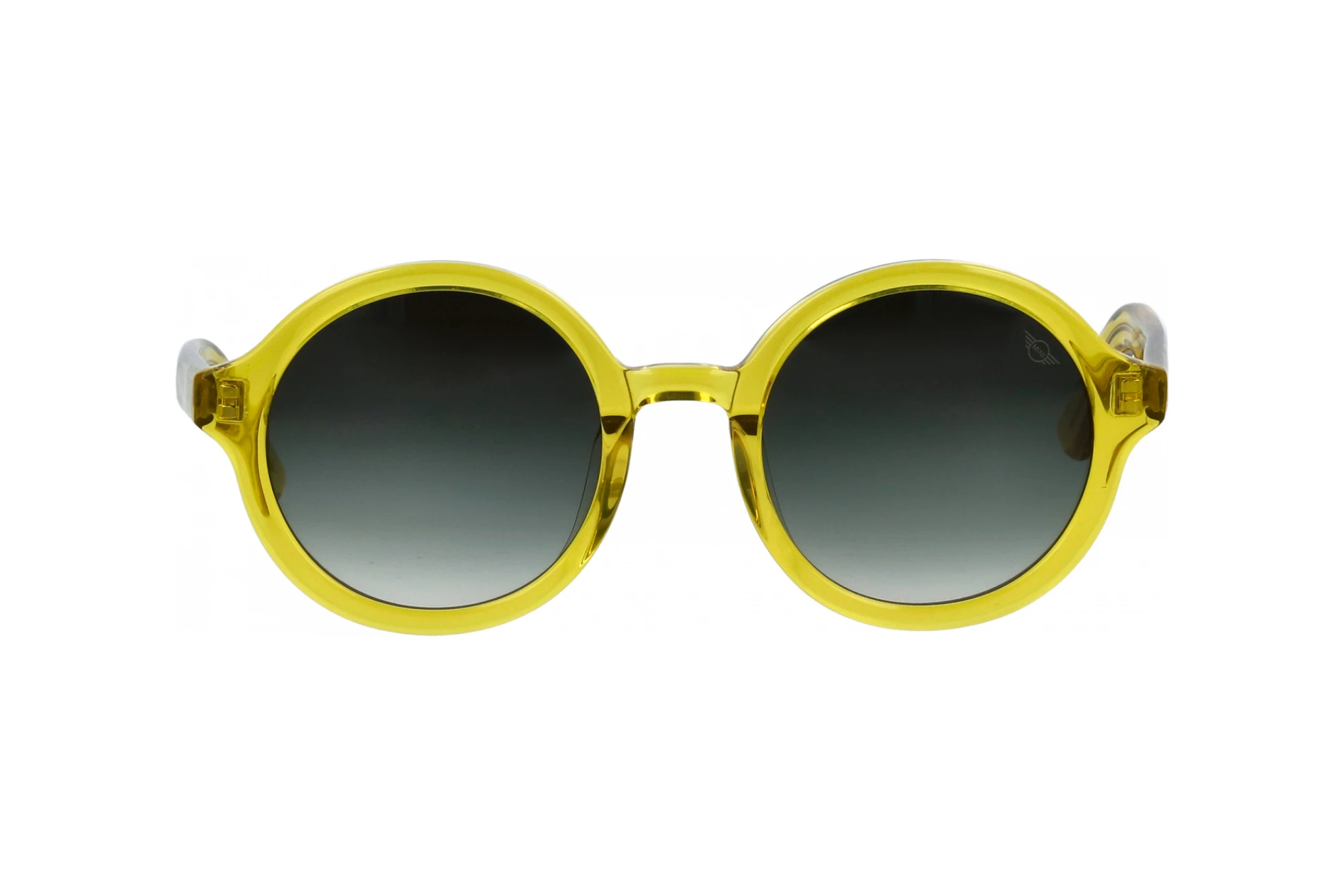 Vorderansicht MINI Eyewear MI 746021 (80)