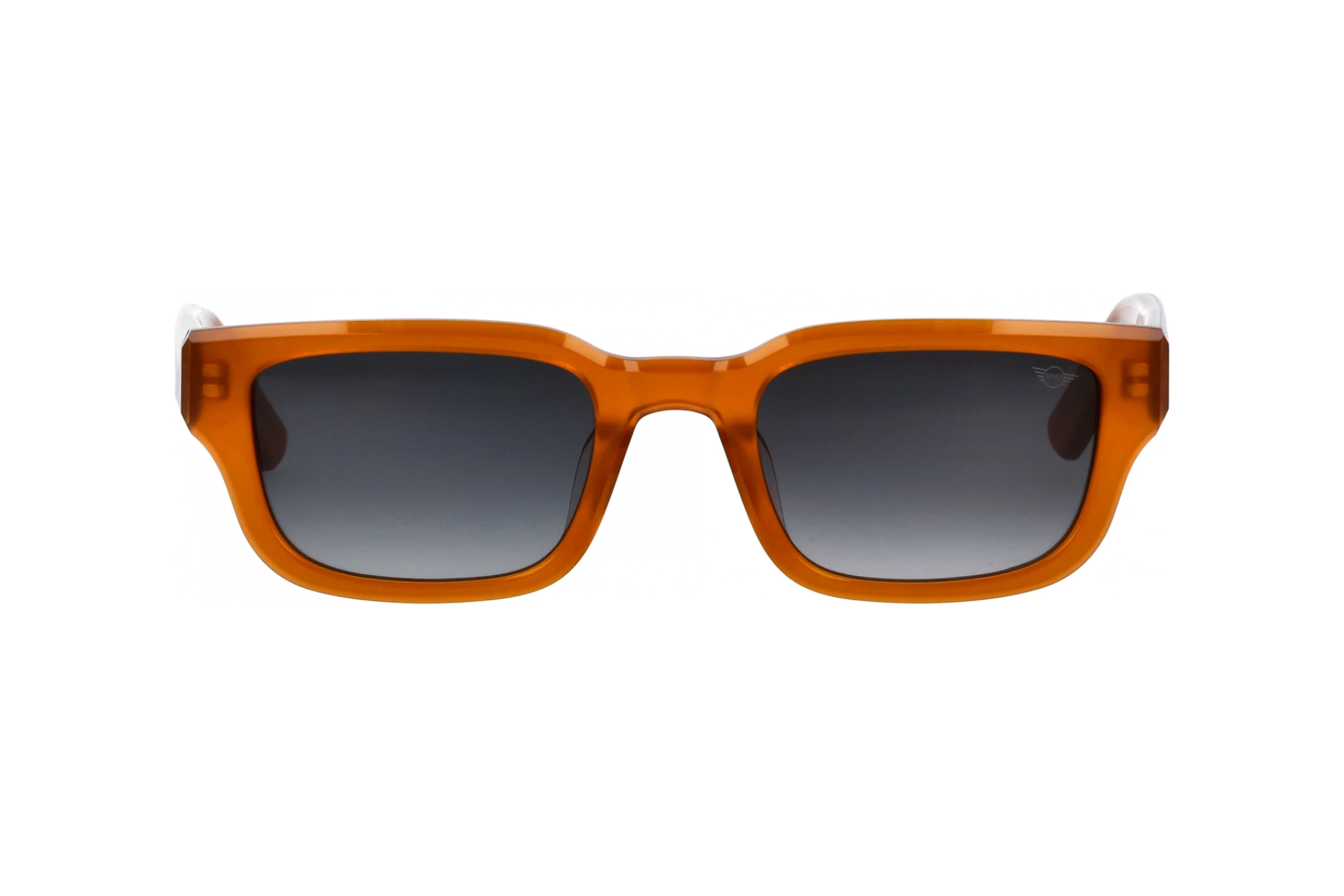 Vista frontale MINI Eyewear MI 746022 (60)