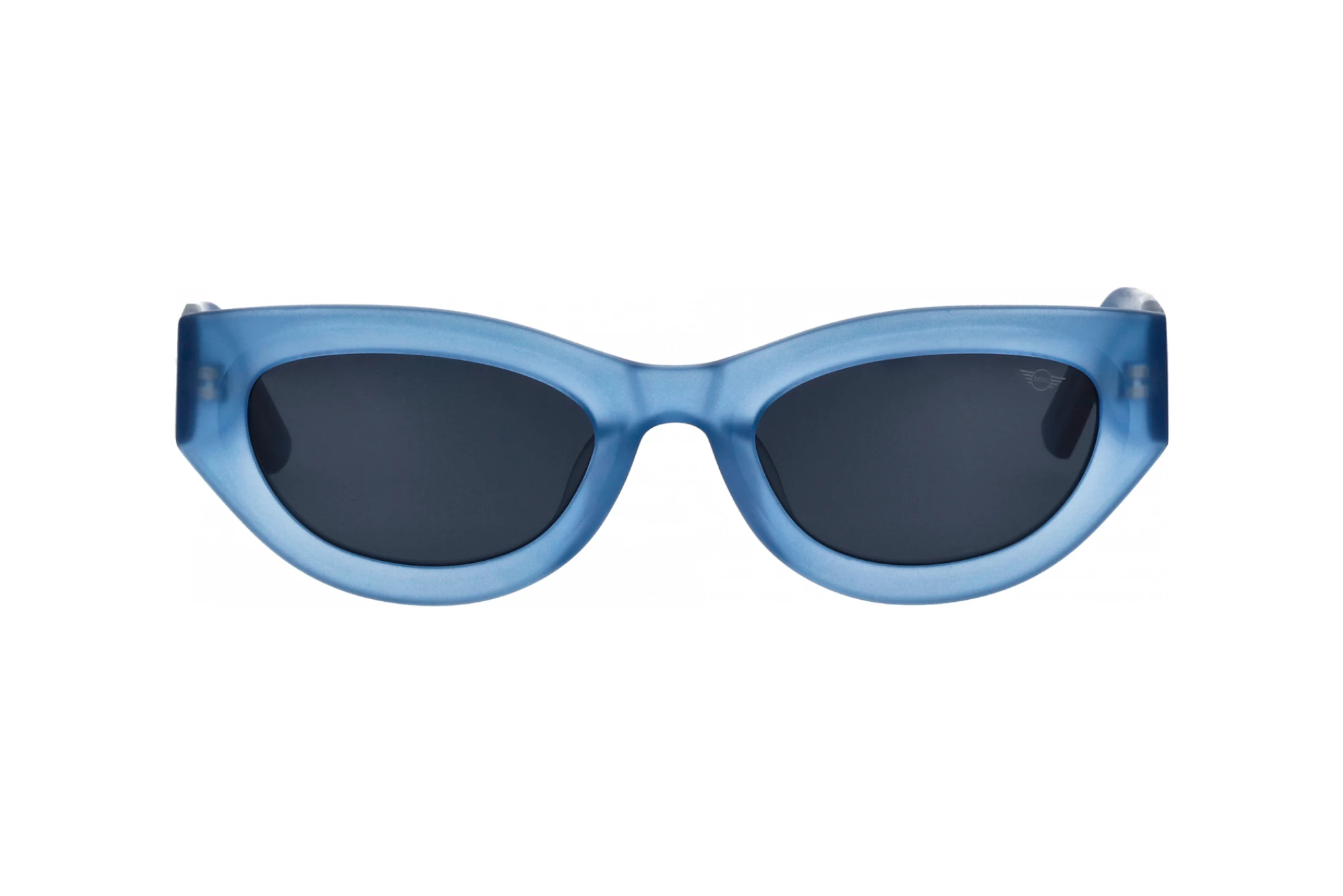 Vorderansicht MINI Eyewear MI 746023 (70)