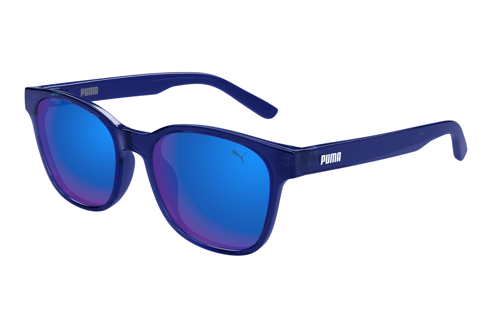 Puma   PJ0087S 009 BLUE