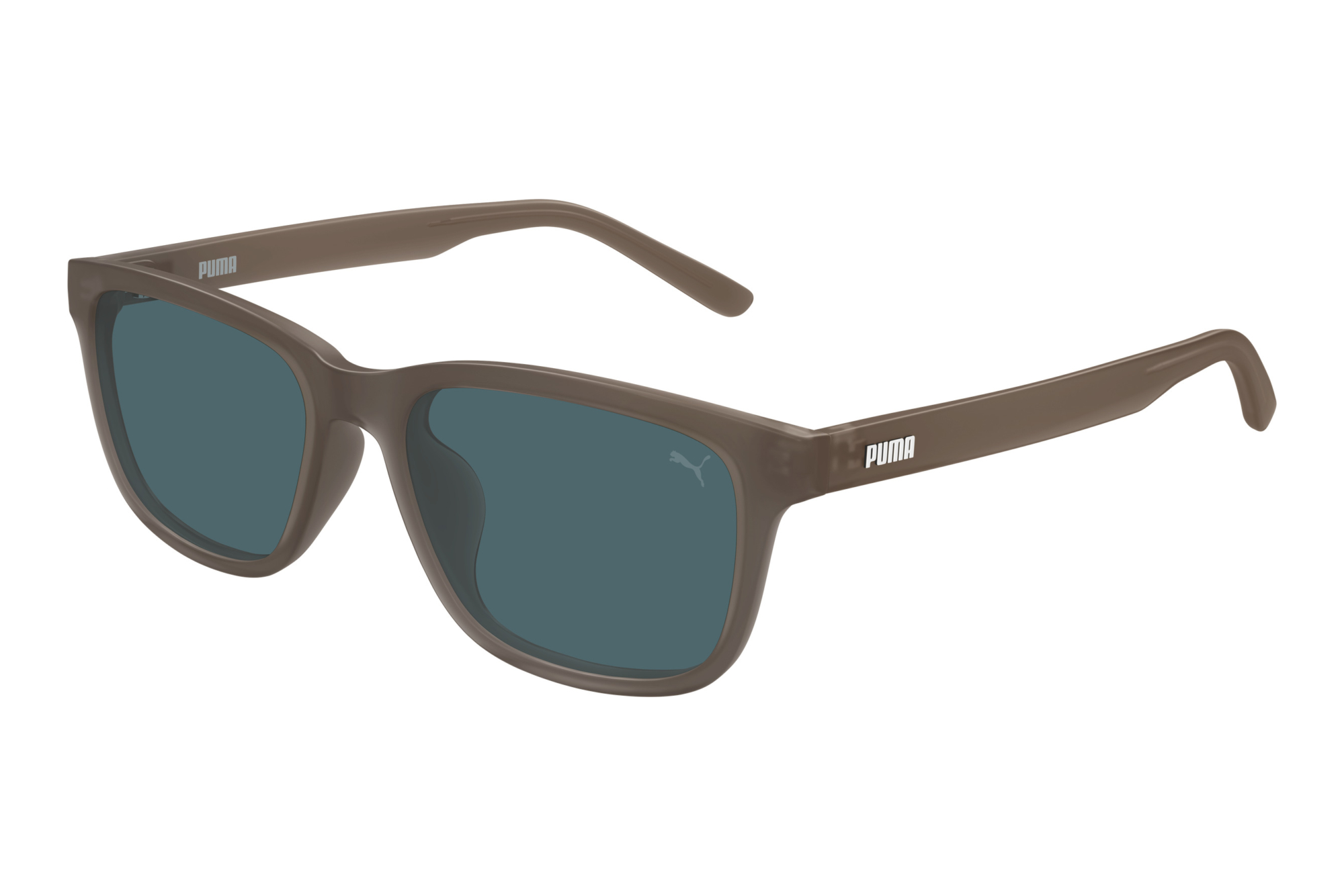 Puma   PU0548SA 004 BROWN