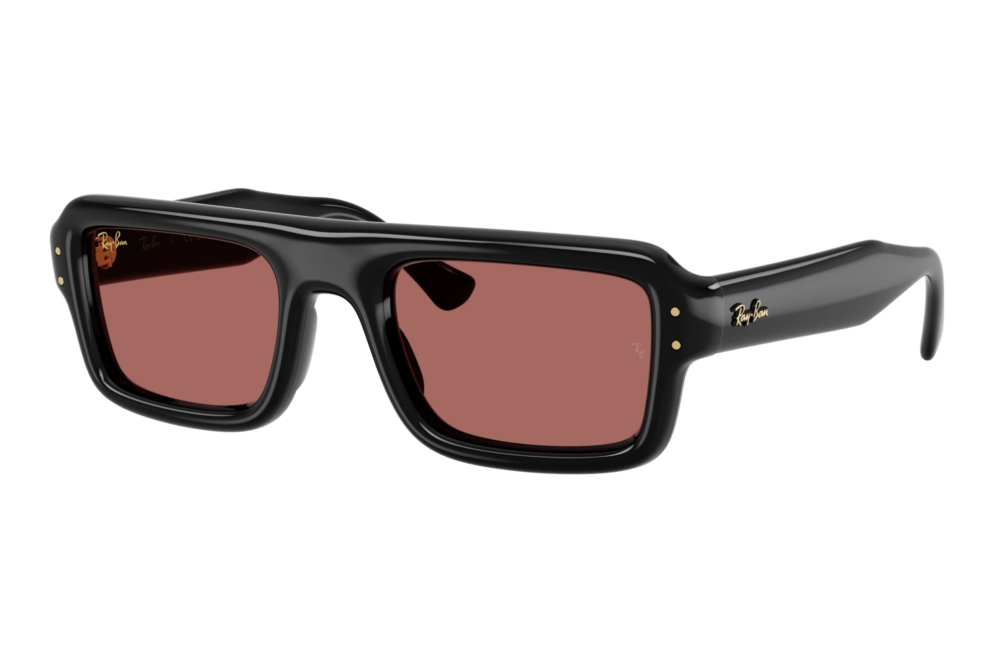 Ray-Ban   RB4954 601/69 Dark VioletBlack