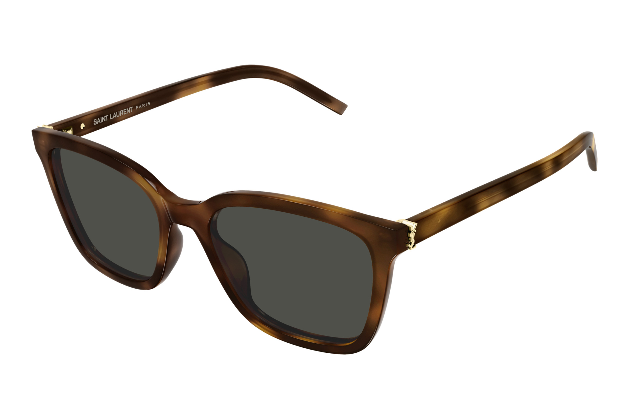 Saint Laurent   SL M178 003 HAVANA