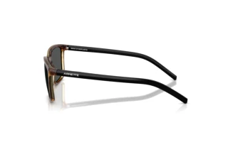 Vista laterale Arnette AN4311 (295681)
