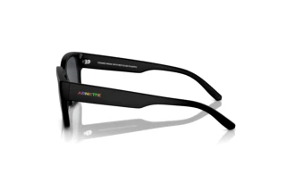 Vue latérale Arnette HAMIE (AN4325 - 290087)