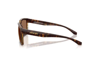 Vue latérale Arnette PLOT TWIST (AN4346 - 277073)