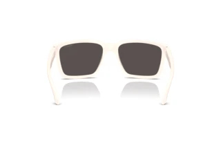Vista posteriore Arnette PLOT TWIST (AN4346 - 296387)