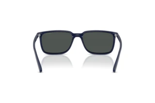 Vue arrière Arnette DINSKY (AN4364 - 275487)