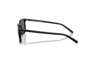 Vista laterale Arnette DINSKY (AN4364 - 290081)