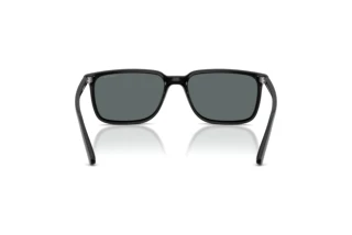 Vista posteriore Arnette DINSKY (AN4364 - 290081)