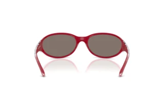 Vue arrière Arnette RAVEN (AN4368 - 30376G)