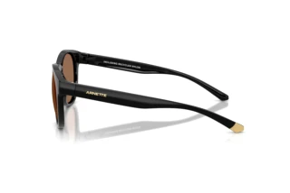 Seitenansicht Arnette AN4371 (290073)