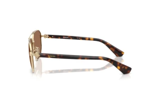 Vue latérale Burberry BE3166 (110973)