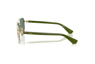 Seitenansicht Burberry BE3166 (110982)