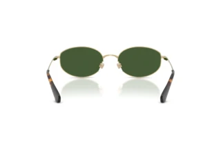 Vue arrière Burberry BE3169 (110971)