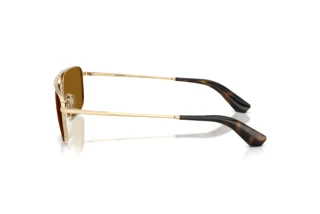 Vue latérale Burberry BE3170 (110983)