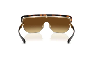 Vue arrière Burberry BE3175 (110913)