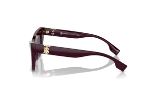 Vue latérale Burberry BE4405 (397987)