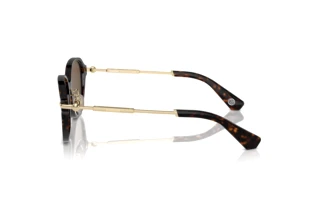 Vue latérale Burberry BE4429D (300273)