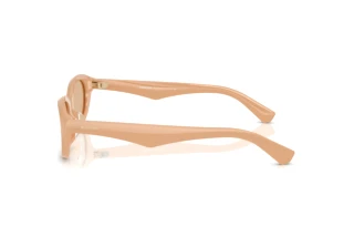 Seitenansicht Burberry BE4447D (415073)
