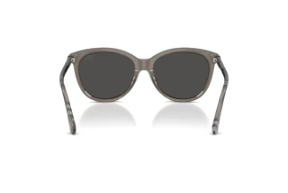 Rückansicht Burberry BE4455 (416087)