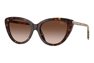 Burberry BE 4457 421613