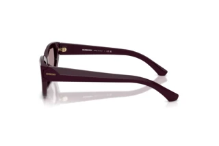 Seitenansicht Burberry BE4463D (3400LA)