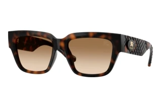 Vista frontale Burberry BE4506U (300289)