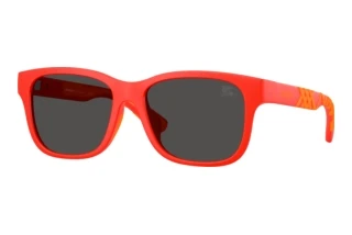 Vorderansicht Burberry JB4007U (423887)