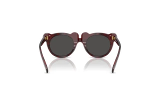 Rückansicht Burberry JB4355 (411587)