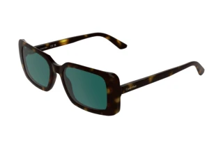 Vue de face Calvin Klein CK26508S (240)
