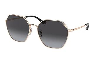 Coach C7998 HC 7132 93318G