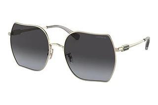 Coach CD476 HC 7142 90058G