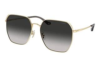 Coach HC7165D 90053C Grey GradientShiny Light Gold