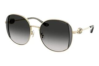 Coach HC7176B 90053C Grey GradientShiny Light Gold/Smoke
