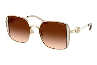 Coach HC7177B 900574 Brown GradientShiny Light Gold/Fawn