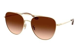 Coach HC7182 900574 Brown GradientShiny Light Gold