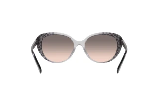 Vista posteriore Coach CD479 (HC8348U - 57103B)