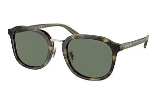 Coach CH577 HC 8366 53243H