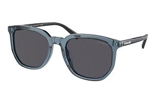 Coach HC8384U 579487 Blue SolidTransparent Blue