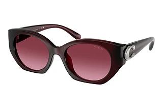 Coach HC8407U 53938H Berry GradientMilky Burgundy