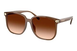 Coach HC8413BD 580874 Brown GradientMilky Brown