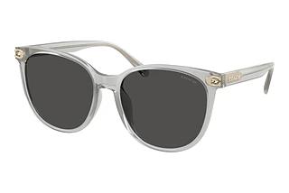 Coach HC8414BD 561487 Grey SolidTransparent Dove