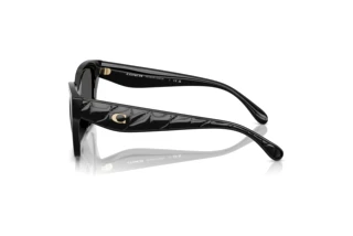 Vista laterale Coach CAD18 (HC8418U - 500287)