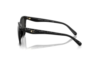 Vista laterale Coach CAD25 (HC8419U - 500287)